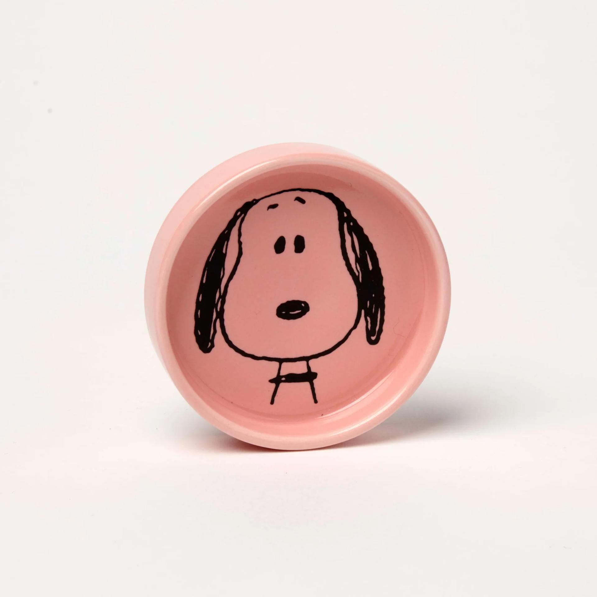 Peanuts Pin Dish - Visage