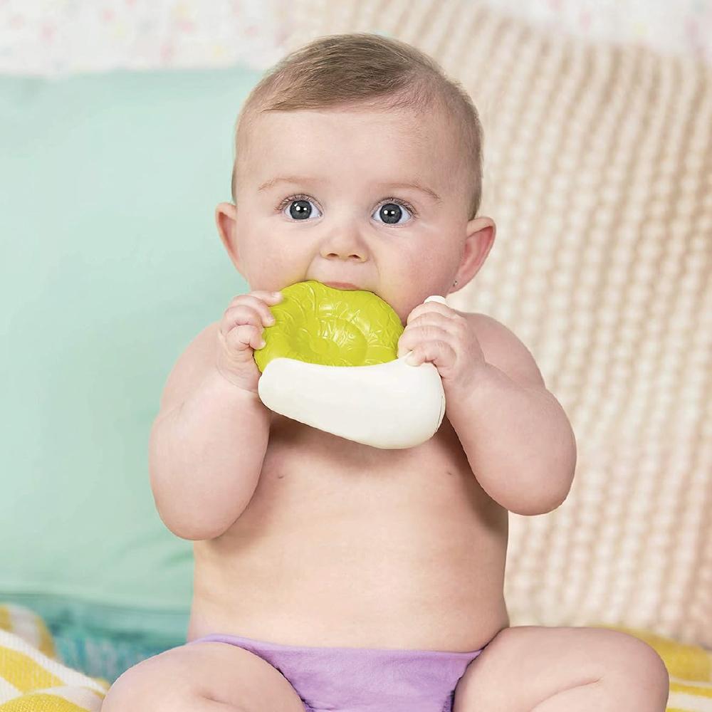 BX1557Z@SNAIL B. TEETHER