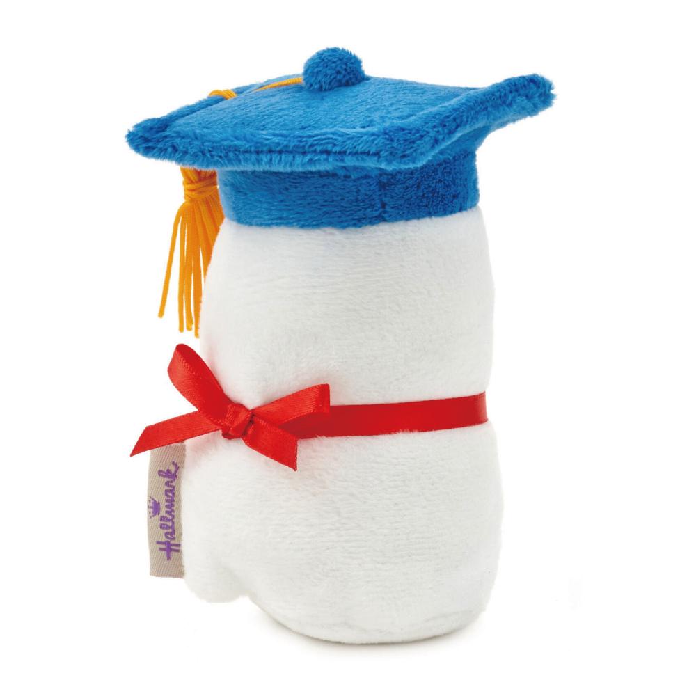 itty bittys® Diploma Plush With Sound