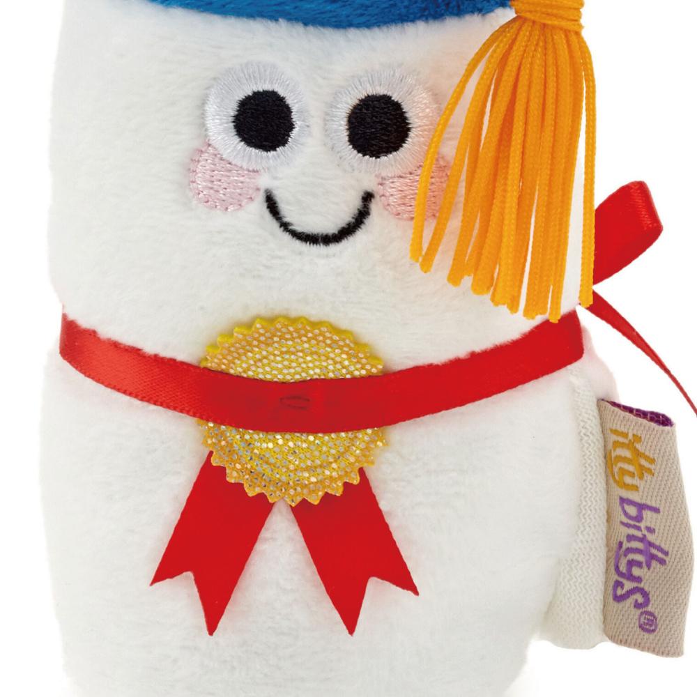 itty bittys® Diploma Plush With Sound