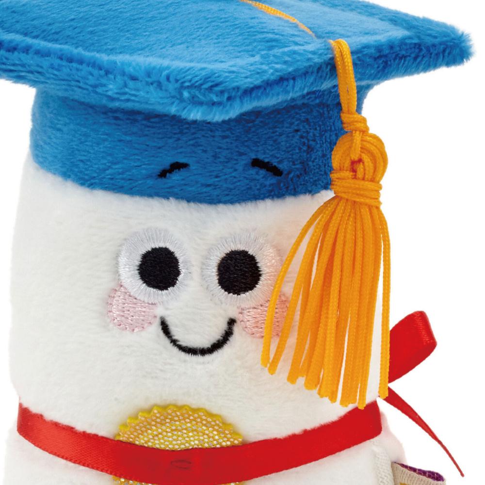 itty bittys® Diploma Plush With Sound